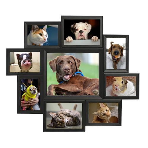 goodbye dogs