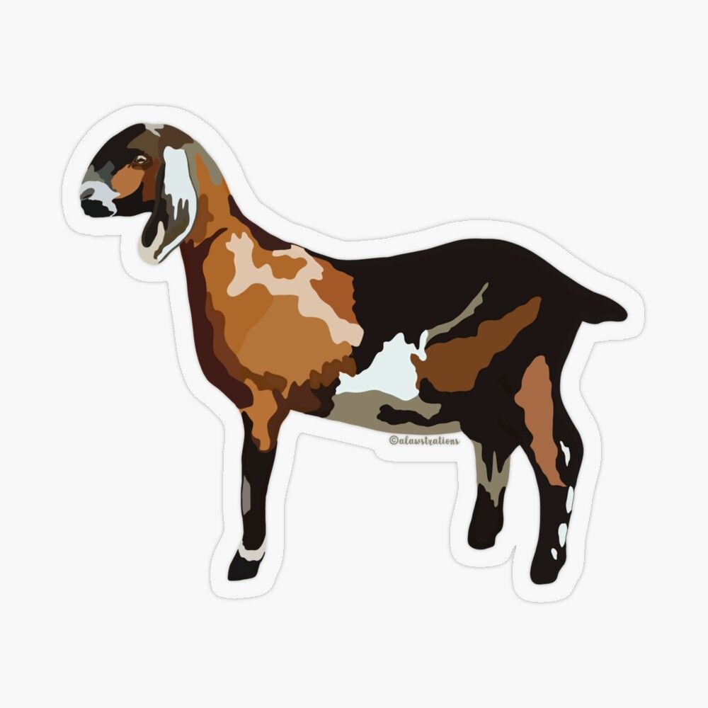 Stylized illustration of a multicolored goat with brown, black, white, and tan patches, standing in profile.