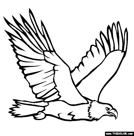Eagle Coloring Page - Free Printable Bird Illustration for Kids & Adults