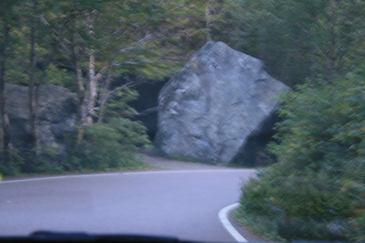 A large boulder blocks a forest road, creating a natural tunnel entrance surrounded by dense greenery.