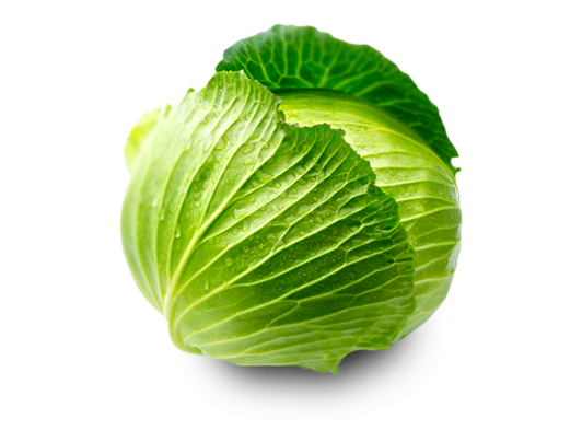 Fresh Cabbage - Nutritious, Crisp, and Versatile for Cooking & Salads