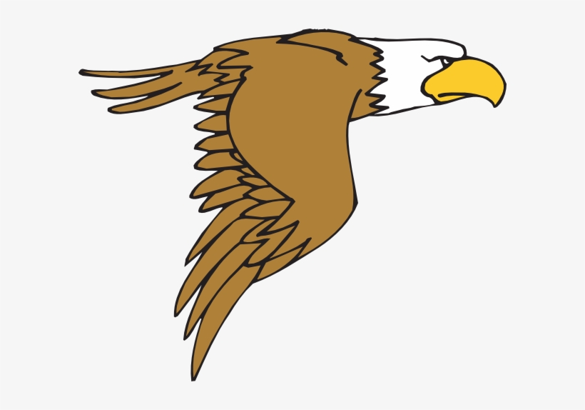 Bald Eagle Illustration - Free Clipart for Educational and Design Use