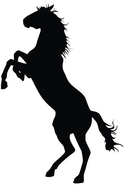 Black silhouette of a rearing horse with flowing mane and tail against white background.