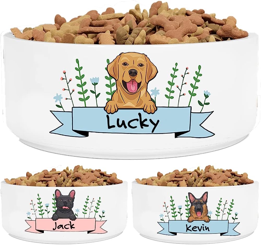 Personalized ceramic dog food bowls with custom names and breed illustrations, filled with kibble.