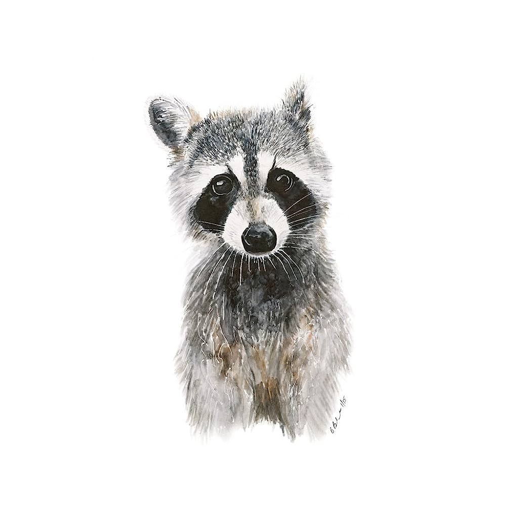 baby raccoons - Clip Art Library