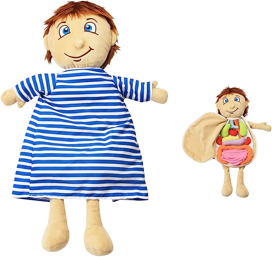 Educational plush doll with removable torso showing colorful fabric organs for teaching human anatomy to children.