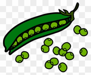 Fresh Green Peas - Nutritious, Versatile, and Easy to Cook