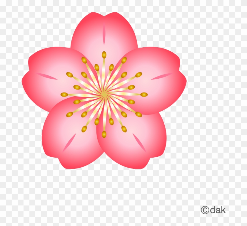 blossoms - Clip Art Library