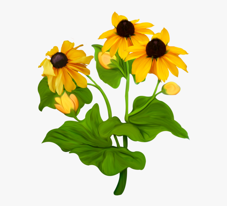 Vibrant yellow black-eyed susan flowers with dark centers and lush green leaves, illustrated in a painterly style.