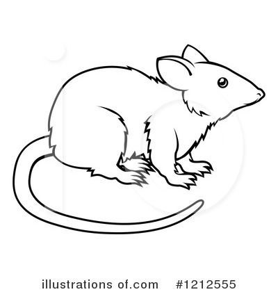 Mouse Illustration - Free Line Art for Educational and Creative Use
