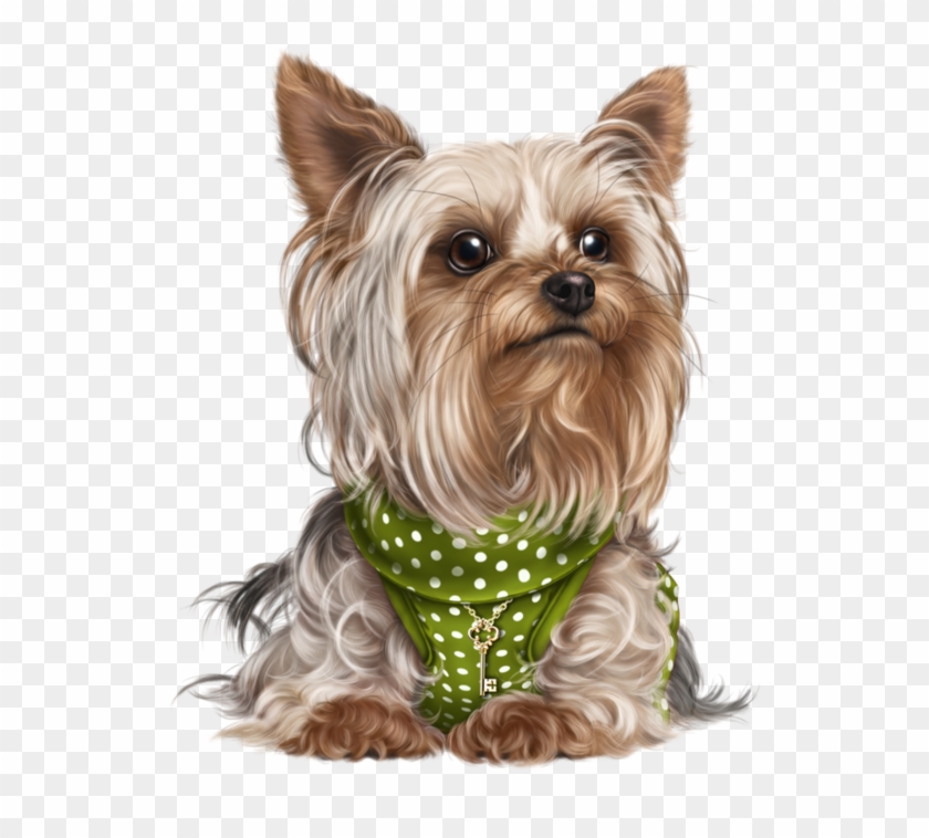 Yorkshire Terrier Clip Art | k9779939 | Yorkie painting, Dog art - Clip ...