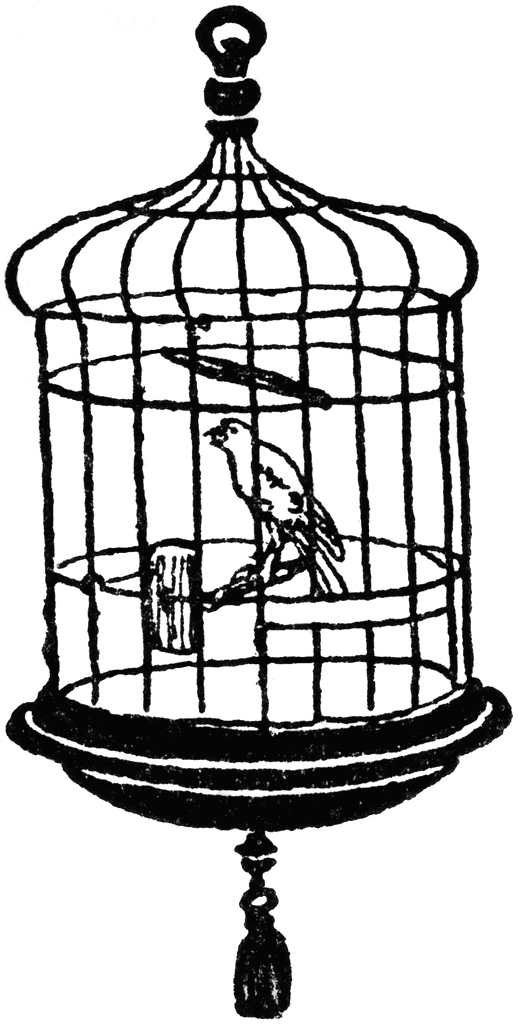 Vintage line drawing of a small bird perched inside an ornate wire cage with a tassel hanging below.