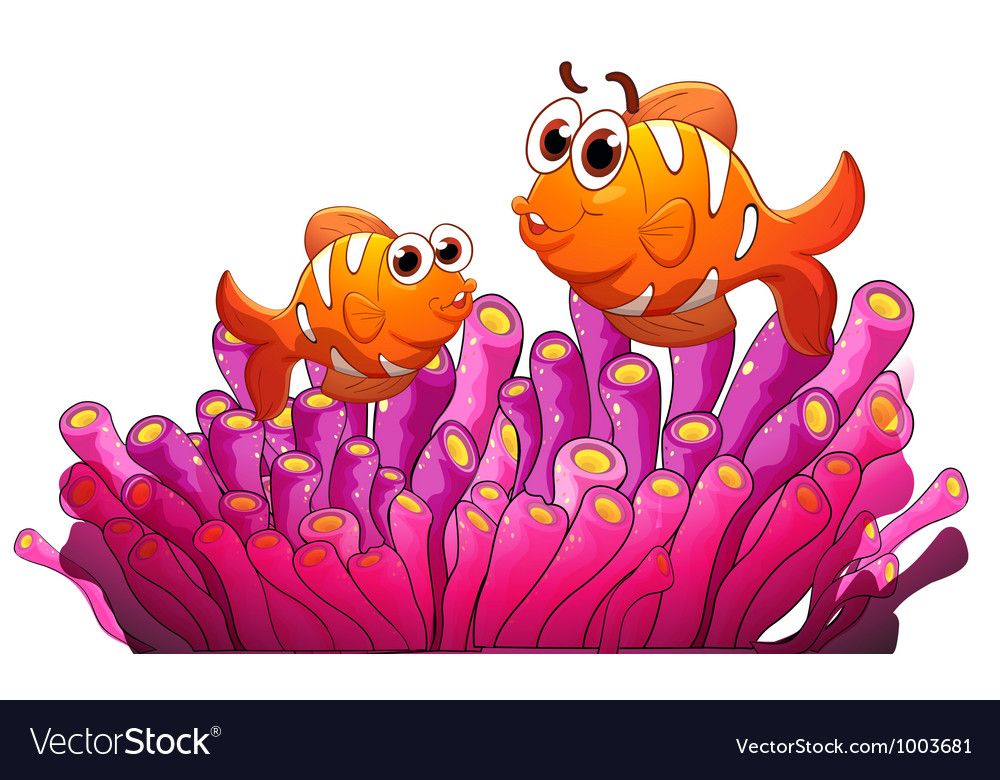 Anemone Clip Art Vector Illustration Sea Stock Vector (Royalty - Clip ...