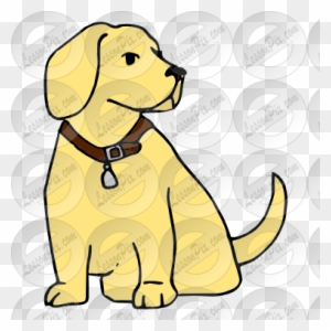 Yellow Labrador Retriever puppy sitting, wearing brown collar with tag, cartoon style on transparent background.