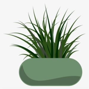 Green ornamental grass in a smooth, olive-green oval planter, illustrated in flat vector style.
