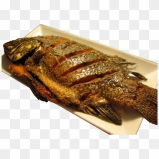 Crispy-skinned grilled whole fish with scored cuts, served on a white rectangular plate against transparent background.