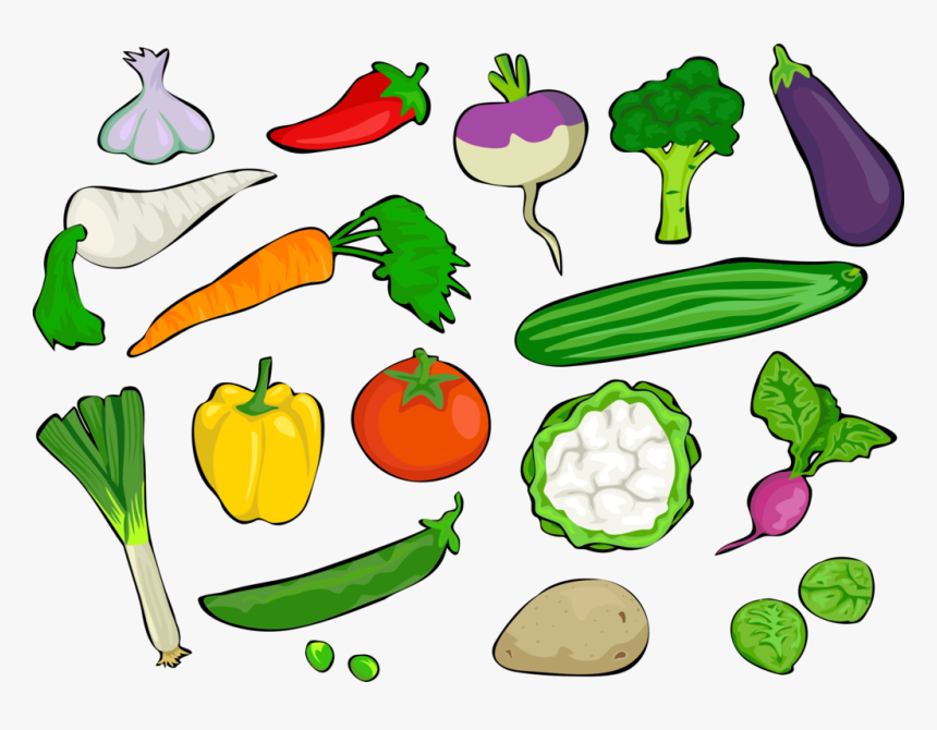66 665056 Plant Leaf Food Grow Foods Pictures Clipart Hd 