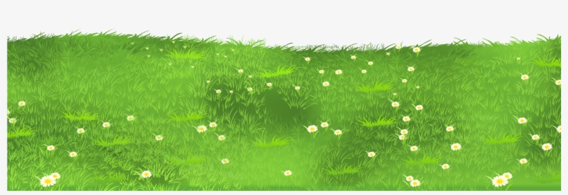 Serene Green Meadow with White Daisies - Nature Background Image