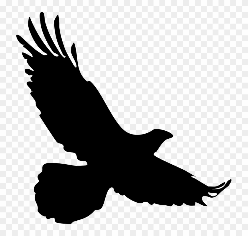 Silhouette of a soaring eagle with outstretched wings and talons extended, captured mid-flight against transparent background.