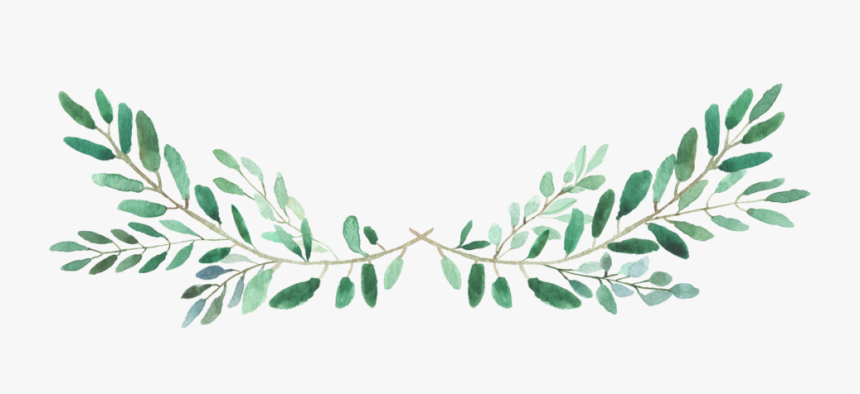 Watercolor illustration of two crossed green leafy branches forming a symmetrical wreath-like design on white background.