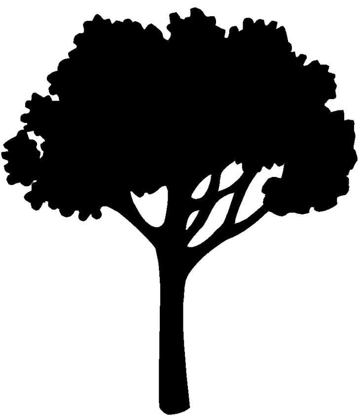 Black silhouette of a full-canopy tree with visible branching structure on white background.