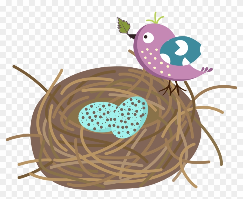 Purple bird with leaf in beak perches on nest with two speckled blue eggs.