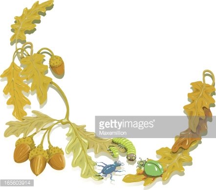 Autumn oak branch with acorns, caterpillar, beetle, and ladybug in stylized illustration.
