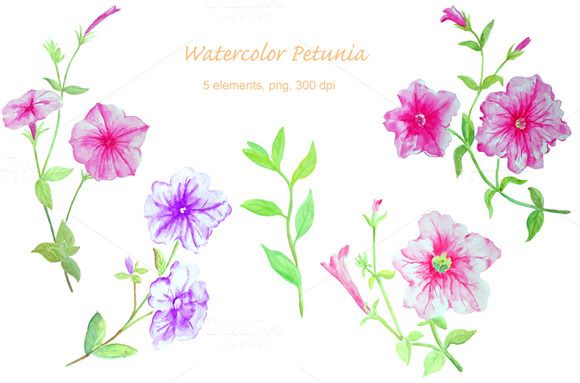 Petunias - Clip Art Library