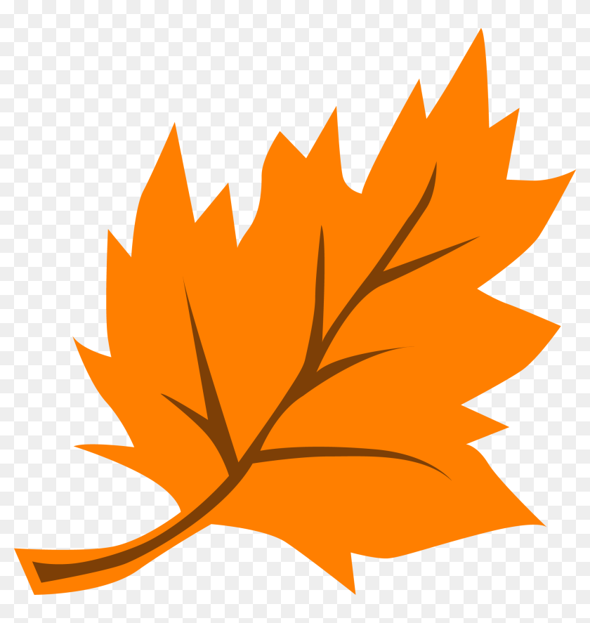 Vibrant orange maple leaf with brown veins and serrated edges on transparent background.