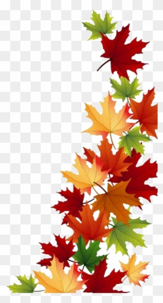 Vibrant autumn maple leaves in red, orange, yellow, and green arranged diagonally on transparent background.