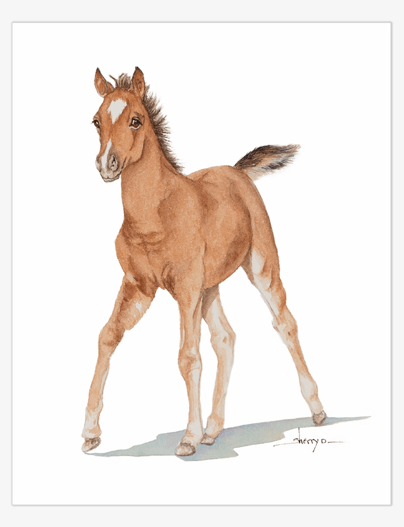 Foal Watercolor Art Print - Gentle Chestnut Colt Illustration