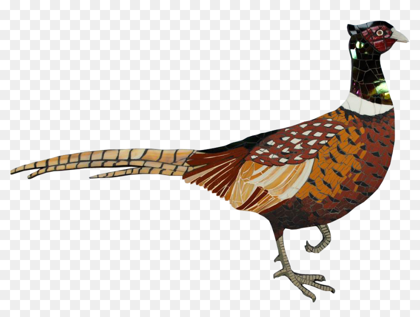 Common Pheasant Vector Stock Illustration - Download Image Now - Clip