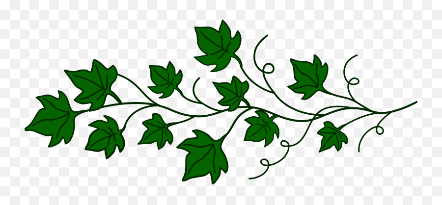 Leafy Vines Clip Art