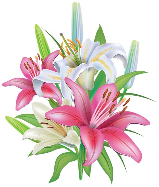 A vibrant bouquet of pink and white lilies with green leaves and unopened buds, illustrated in high detail.