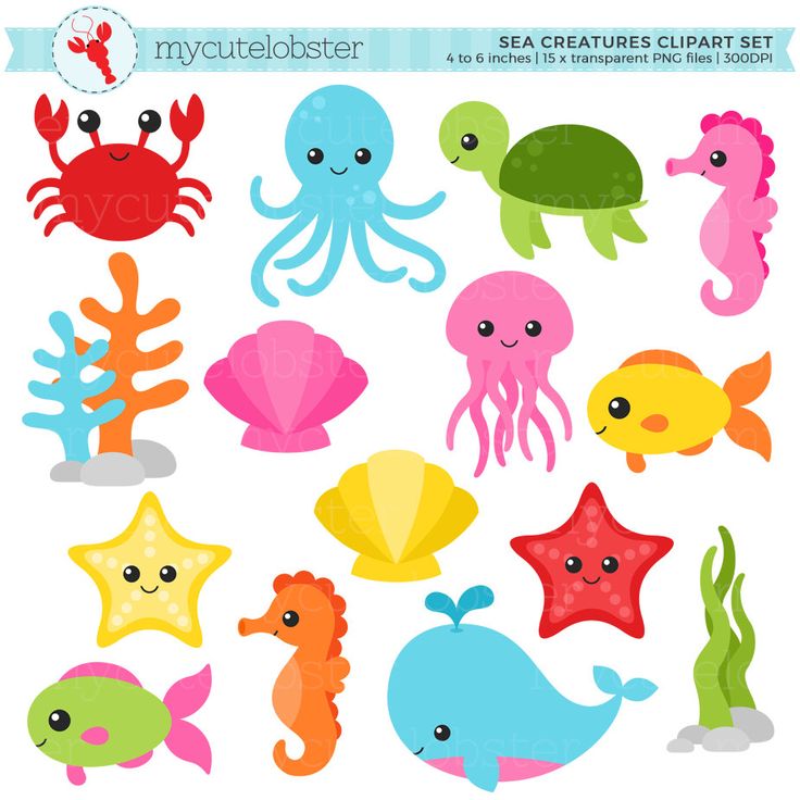Cute cartoon sea creatures clipart set including crab, octopus, turtle, seahorse, fish, starfish, shells, and coral in vibrant colors.