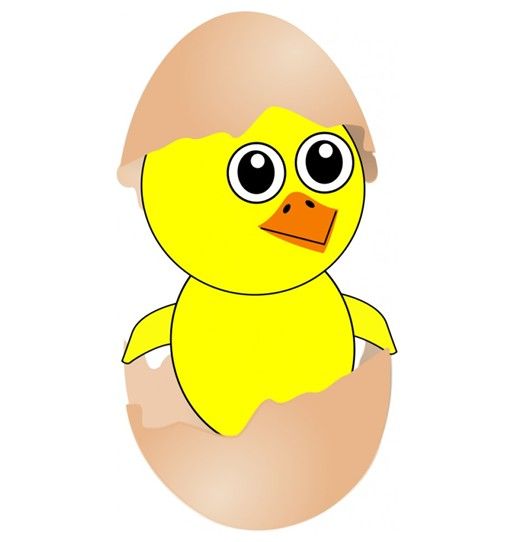 Adorable Chick Hatching from Egg - Free Clipart Image