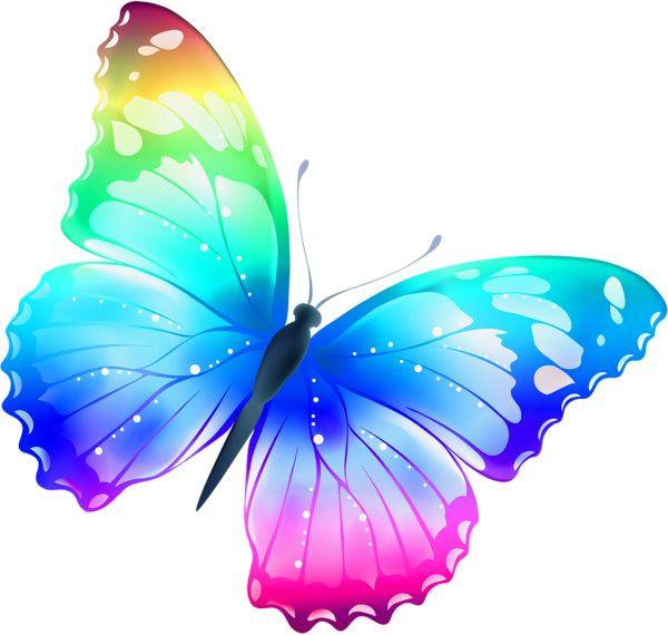 Vibrant rainbow-colored butterfly with iridescent wings and delicate veining on black background.