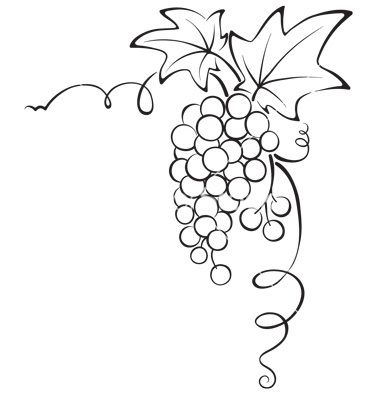 Black-and-white line drawing of a grape cluster with leaves and curling vine tendrils.