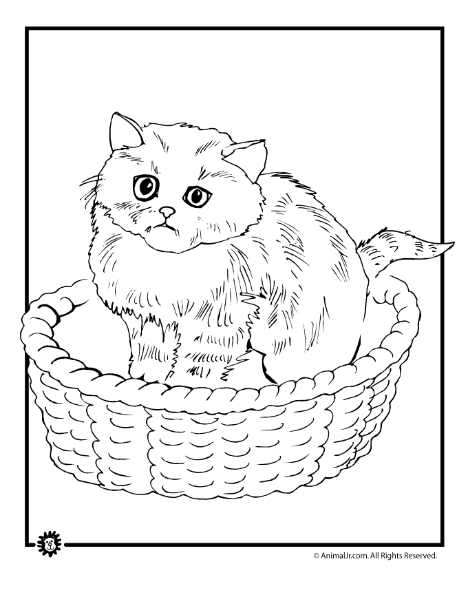 Cute Kitten in Basket Coloring Page - Free Printable Animal Illustration
