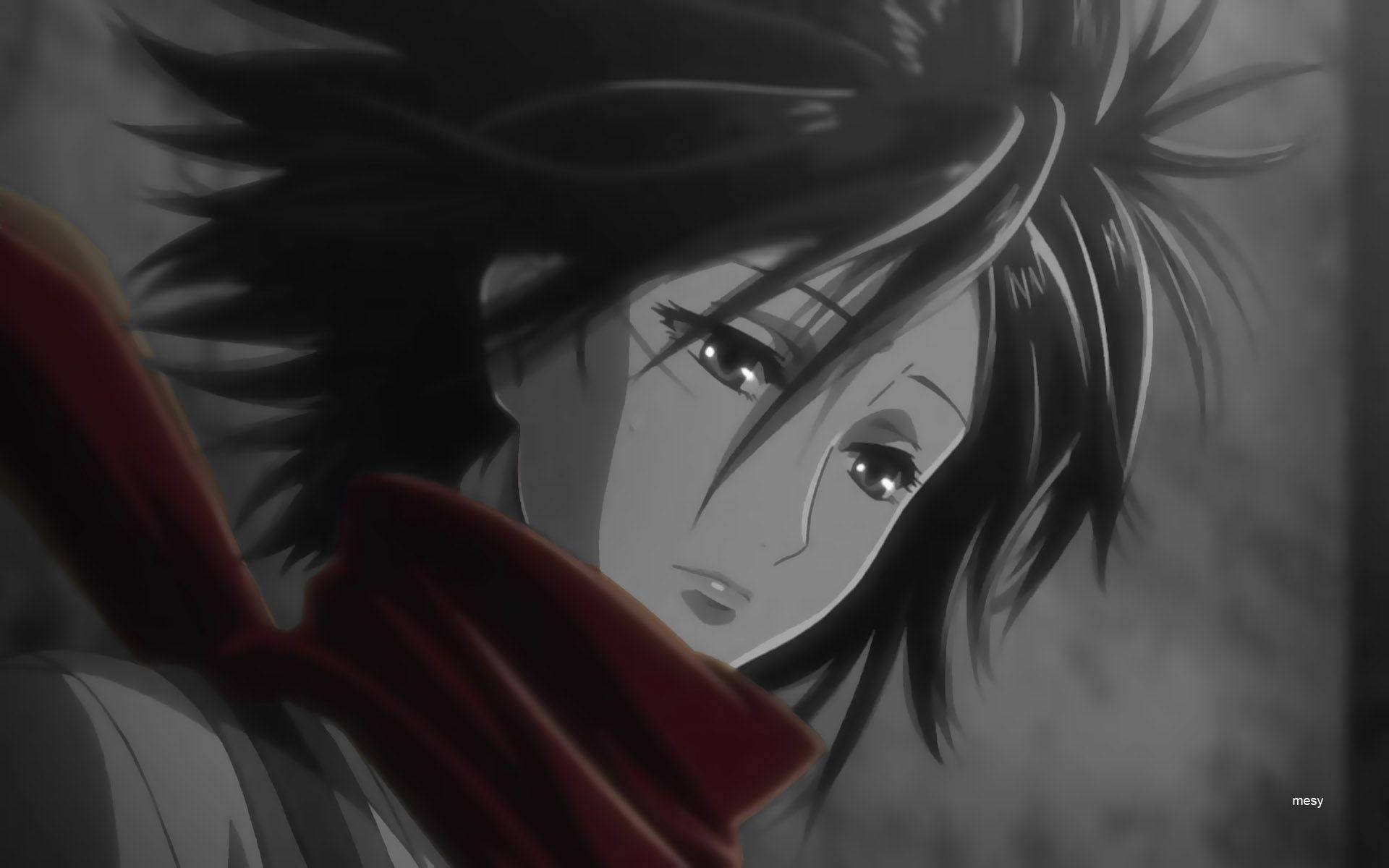 Mikasa Ackerman - Images and Pictures - AniYuki - Anime Portal - Clip Art  Library
