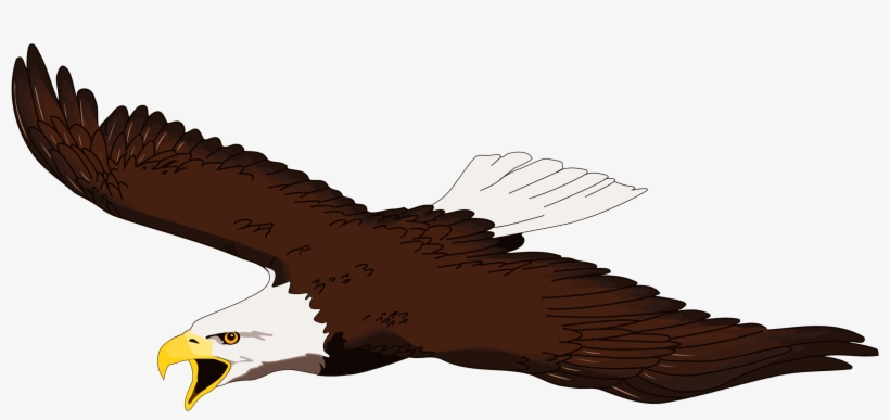 A bald eagle in flight with outstretched wings, white head and tail, brown body, and open yellow beak.