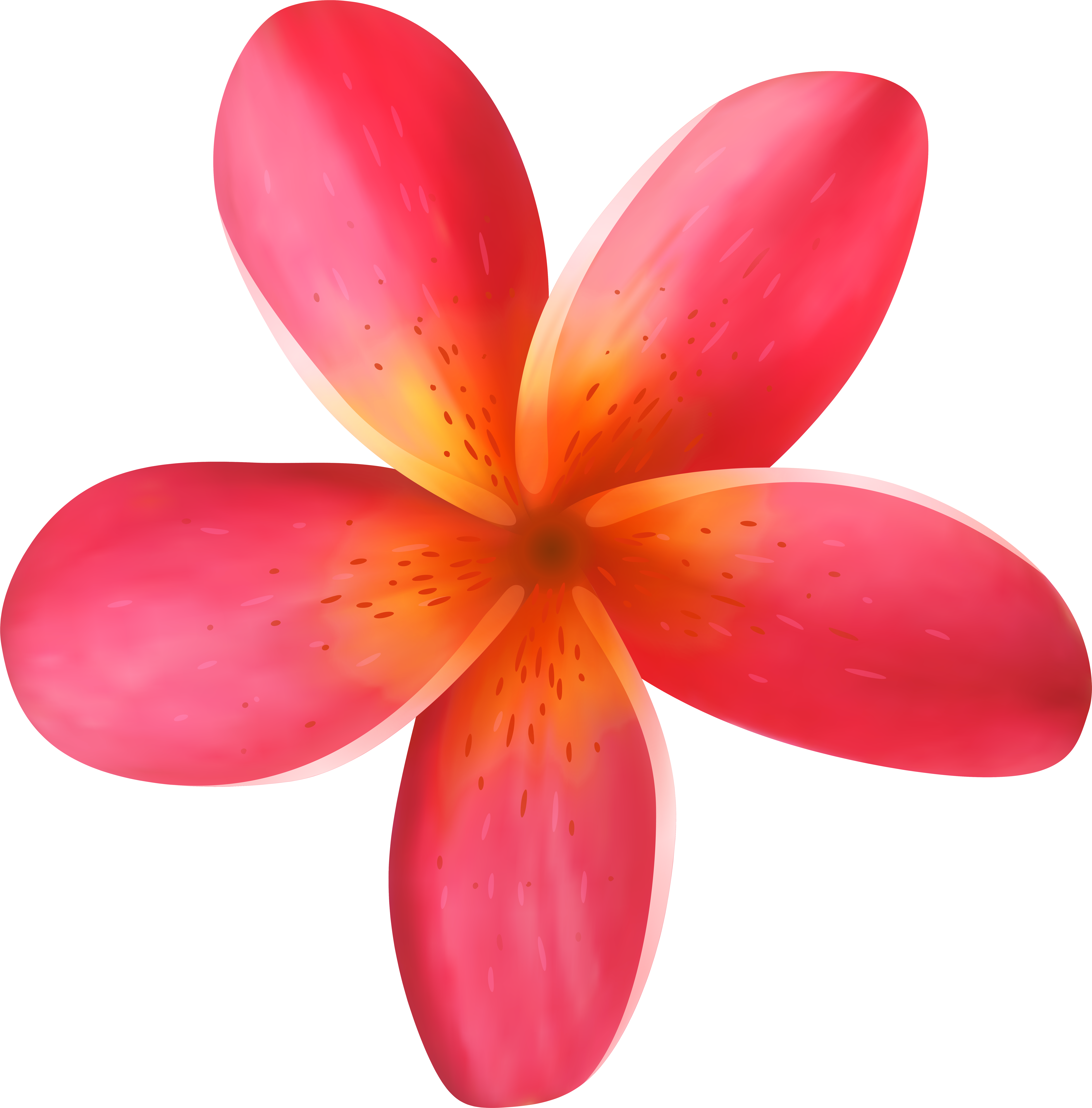 Plumeria Flower Illustration - High-Quality Digital Art for Design & Print