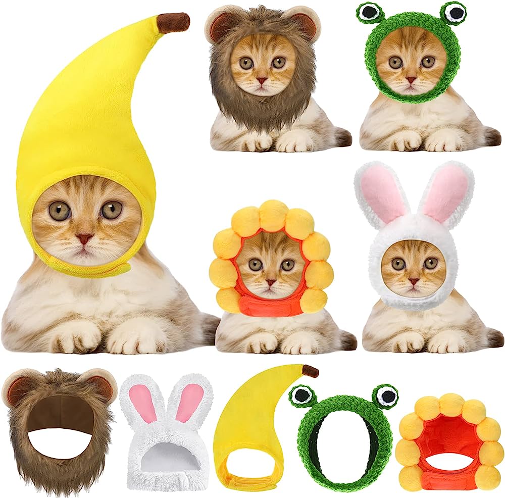 Adorable kittens wearing fun animal and fruit-themed costume hats including banana, lion, frog, sunflower, and bunny.