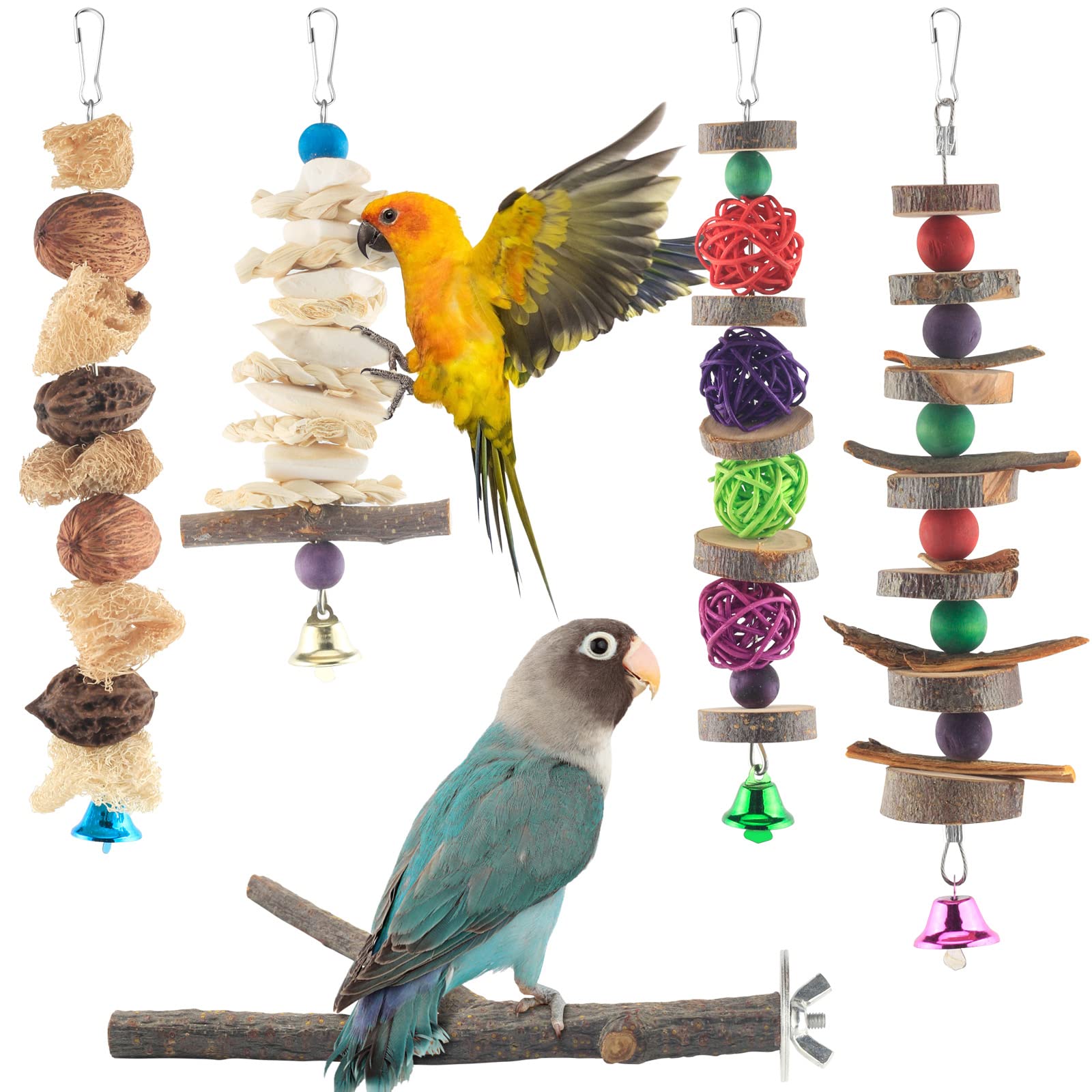 parrot toys - Clip Art Library