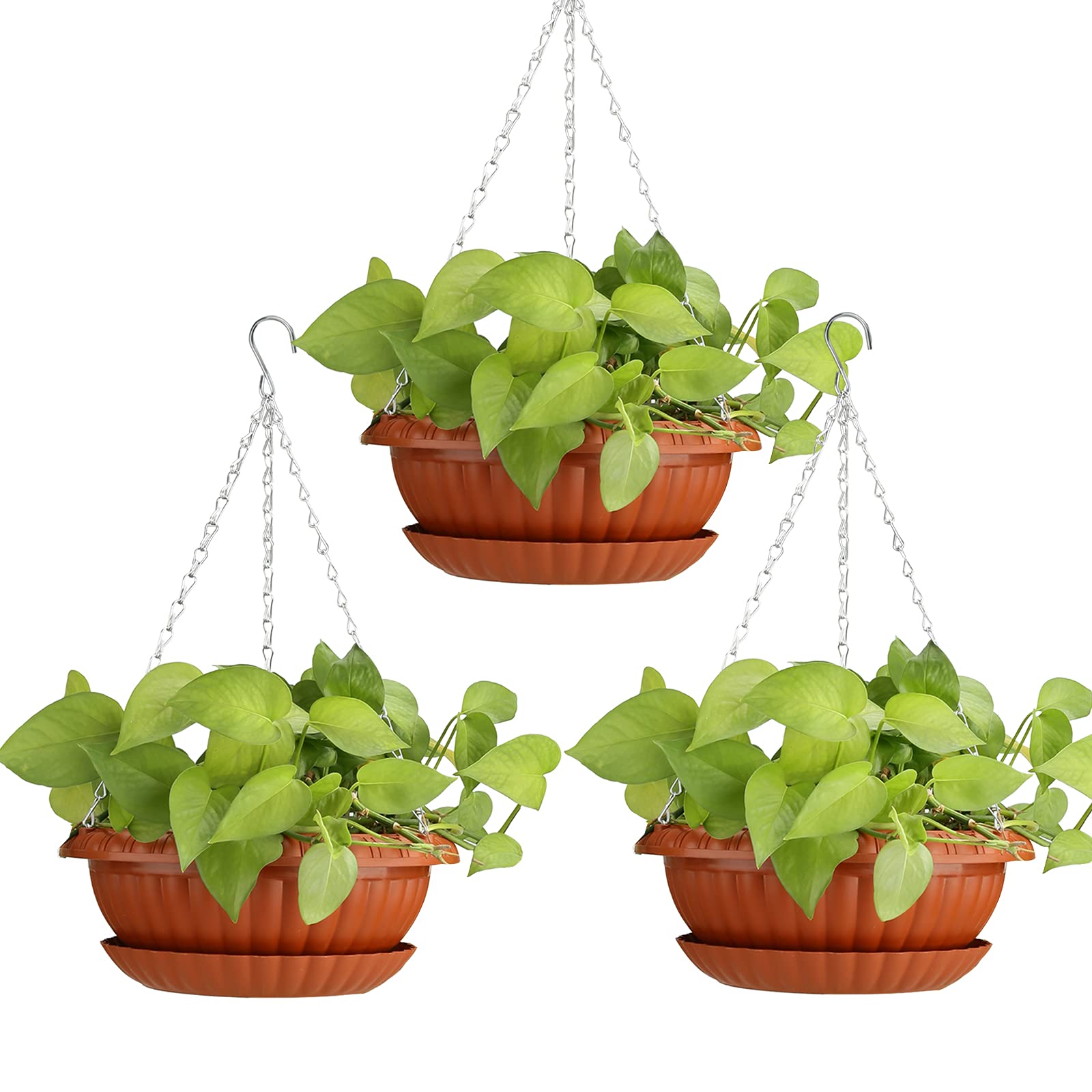 Three terracotta hanging planters with lush green pothos plants and silver chains against white background.