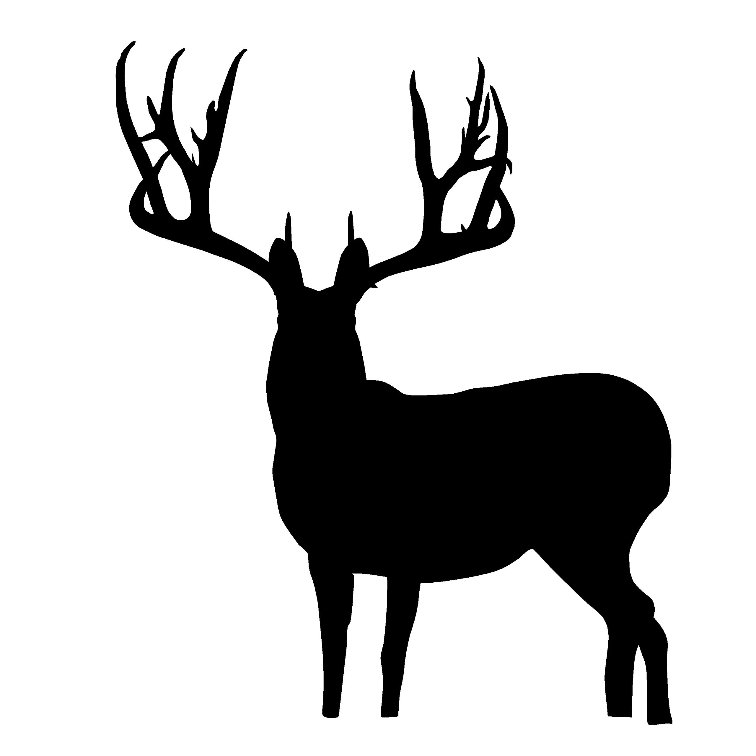 Free big bucks, Download Free big bucks png images, Free ClipArts on ...