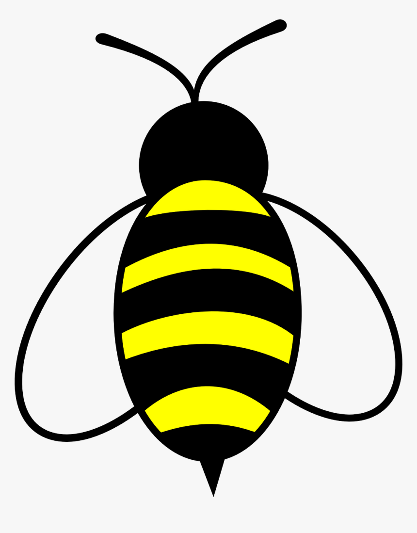 Bee Illustration - Free Clipart for Education, Design & Web Use