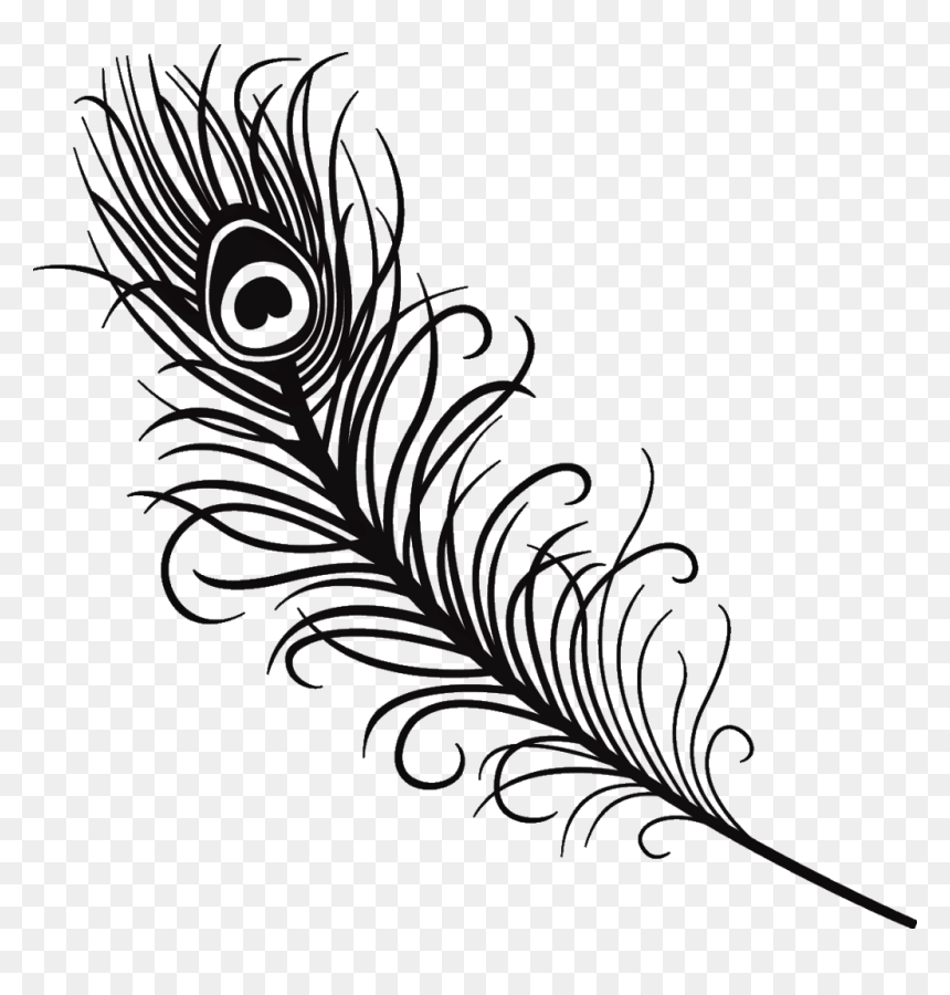 Black-and-white stylized peacock feather illustration with eye pattern and ornate barbs on transparent background.