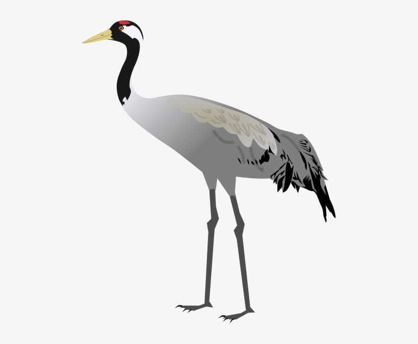Vector Scandi Cartoon Animal Clip Art Japanese Crane Bird Royalty ...