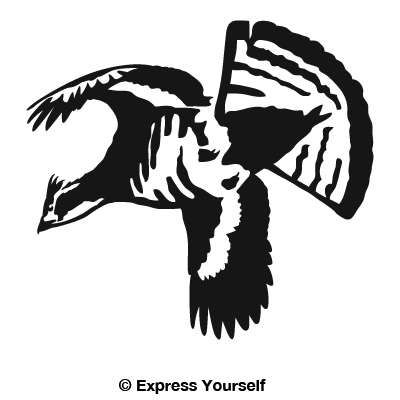 Black-and-white stylized illustration of a flying bird with outstretched wings and striped tail feathers.